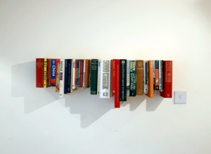 jennion-bookbookshelf